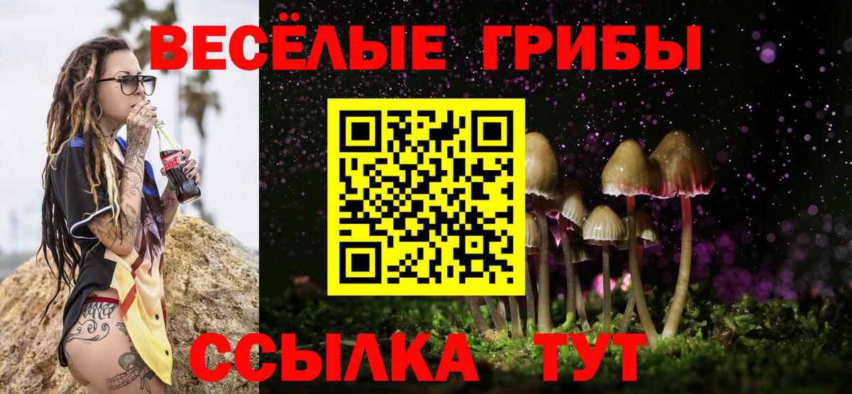 Галлюциногенные грибы GOLDEN TEACHER  Галлюциногенные грибы MAGIC MUSHROOMS  Гай  Вход с VPN 